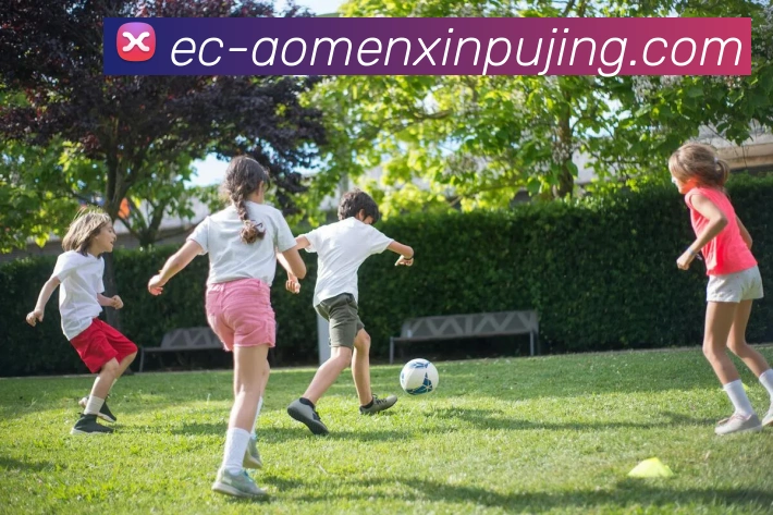 App Interface Preview